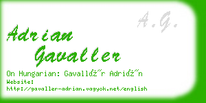 adrian gavaller business card